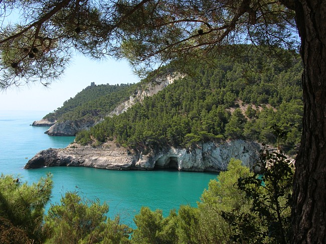 De Gargano