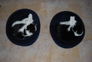 synchronized sleeping